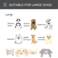 Load image into Gallery viewer, Metal Dog Cage Kennel Locking Door & Wheels Removable Tray Openable Top For Large Pets 109.5 x 71 x 78 cm
