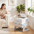 Load image into Gallery viewer, Cat Litter Box with Lid, Enclosed Cat Litter Box with Deodorization Bag & Drawer Pan, High Sides & Flip-to-Clean, Multi-Entry Design, Odor Control, Light Blue
