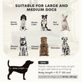 Charger l'image dans la visionneuse de la galerie, Dog Sofa, 39" Cat Couch with Removable Cushion, Washable Cover, Wooden Legs, Elevated Pet Cat Sofa for Medium & Large Dogs, Dark Grey
