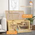 Load image into Gallery viewer, Wooden Hamster Cage with Water Bottle, Small Animal Exercise Play House with Platforms, Openable Roof, Sliding Tray, Hut, Seesaws, Natural Wood Finish
