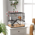 Load image into Gallery viewer, Large Hamster Cage, Gerbil Cage with Deep Glass Bottom, Tunnels, Non-Slip Ramps, Exercise Wheels, Water Bottle, Dish, 60 x 40 x 57cm
