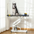 Charger l'image dans la visionneuse de la galerie, 43"L Hydraulic Dog Grooming Table, Deluxe Professional Z-Lift Adjustable Height UP 440lbs for Small Medium Large Pet Dogs, with Safety Leash - Black

