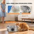 Load image into Gallery viewer, Cat Water Fountain Stainless Steel, 246 oz. / 7L Automatic Pet Fountain with Filters, Ultra-Quiet Pump, Visibility Window, Dog Water Bowl Dispenser for Cats, Dogs and Multi-Pet Homes
