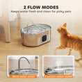 Load image into Gallery viewer, Cat Water Fountain Stainless Steel, 246 oz. / 7L Automatic Pet Fountain with Filters, Ultra-Quiet Pump, Visibility Window, Dog Water Bowl Dispenser for Cats, Dogs and Multi-Pet Homes
