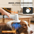 Load image into Gallery viewer, Dog Grooming Vacuum & Dryer Kit, 5 in 1 Dog Hair Dryer with Clippers for Thick Short Long Hair Shedding Brush, 12000 Pa Suction Power Vacuum, 4 Modes Blow Temperature
