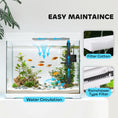 Load image into Gallery viewer, 17L Fish Tank, Glass Aquarium with Filter System, LED Light, Water Pump, Fish Tank Starter Kits for Betta, Goldfish, Shrimps, White
