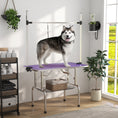 Charger l'image dans la visionneuse de la galerie, 43"L Dog Grooming Table, Pet Foldable Grooming Table with 8"- 32" Adjustable Arm, Two Nooses, Mesh Tray and Rubber Top for Large Medium Small Pets, Purple
