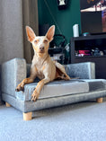 Load image into Gallery viewer, Dog Sofa Bed for Small-Sized Dogs with PU Cove Grey
