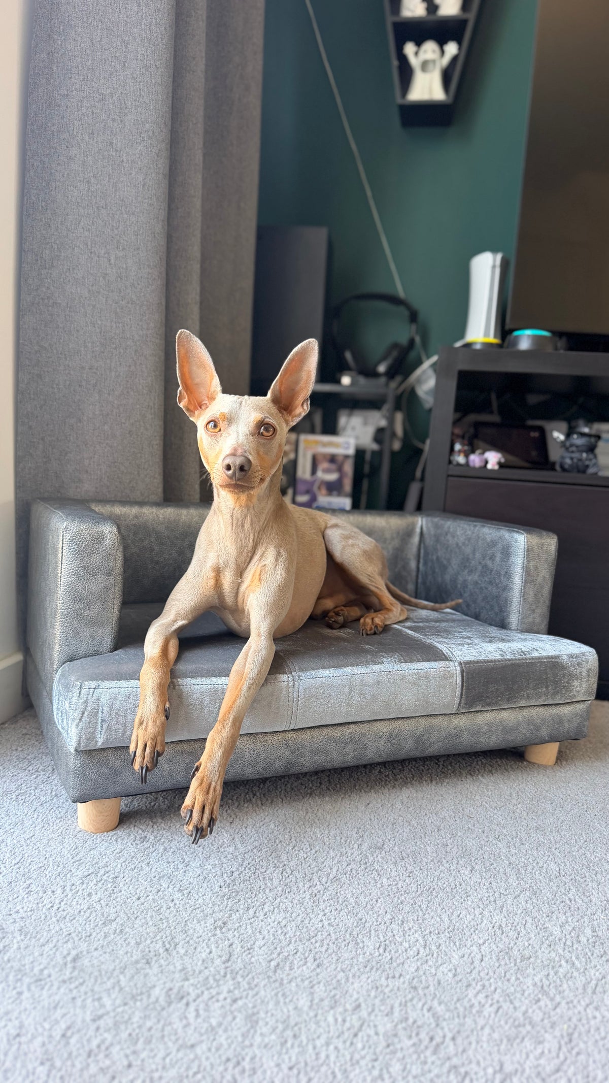 Dog Sofa Bed for Small-Sized Dogs with PU Cove Grey