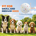 Load image into Gallery viewer, 6 Pack Dog Balls Toys Fits Aggressive Chewers, Indestructible Teething and Water ETPU Balls for Throw and Fetch, High Bounce Interactive Toys for Small and Medium Dogs, 5.8cm/2.3Inch
