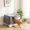 Load image into Gallery viewer, Stainless Steel Cat Litter Box with Lid, High Sided Enclosed Litter Box with Removable Lid, Tray, Scoop, Easy to Clean, Odor Control, Anti-Leakage, Grey
