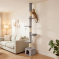 Load image into Gallery viewer, Floor to Ceiling Cat Tree, 230-250cm Multi-Level Cat Tower with Adjustable Height, Scratching Posts, Condo, Platforms and 3 Dangling Balls, Activity Tree for Indoor Kittens, Light Grey
