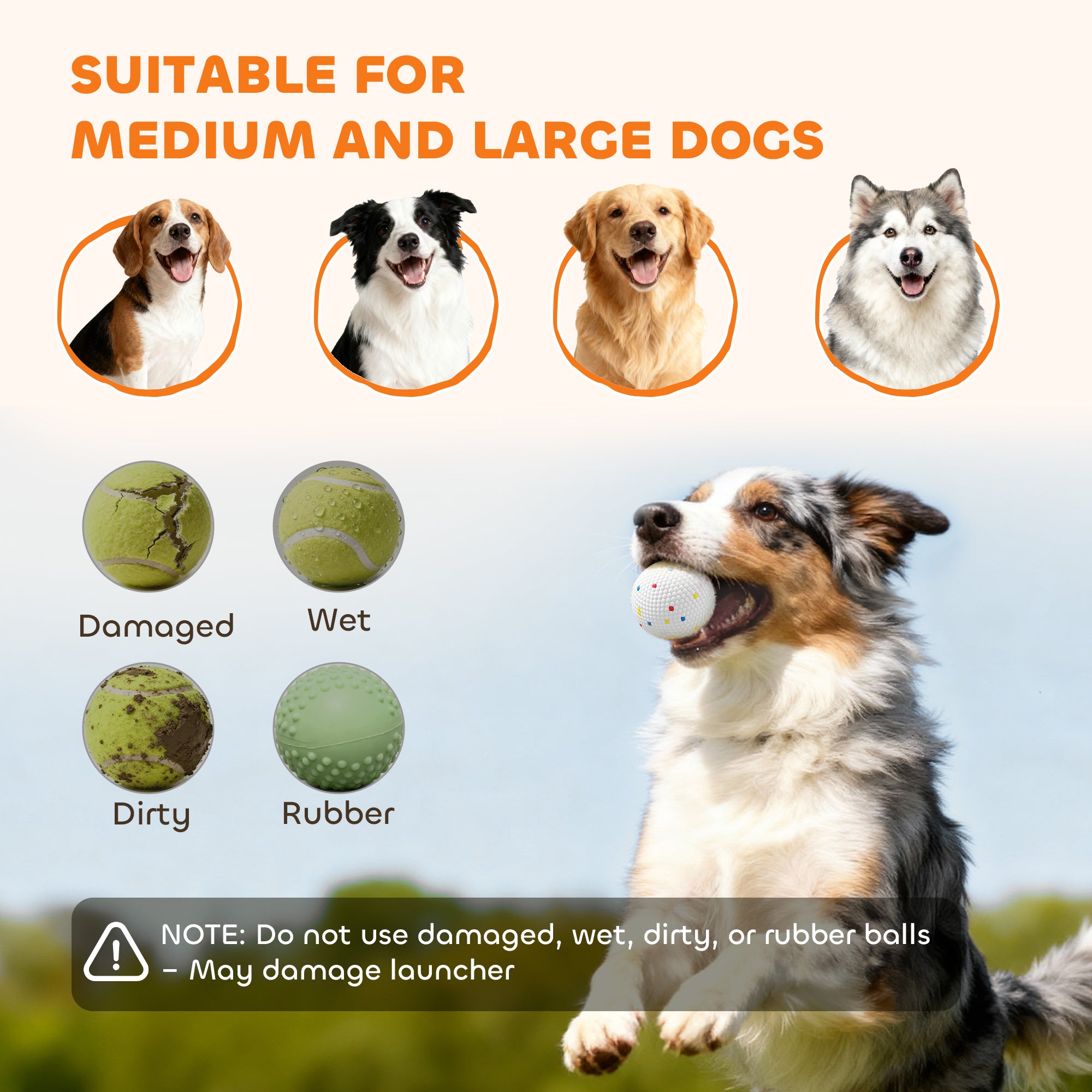 Dog Ball Launcher Automatic, 26-79 FT Adjustable Distance, Rechargeable Dog Ball Thrower with 6 ETPU Tennis Fetch Toys 2.5", Low Noise, Remote Control, for Medium to Large Breeds, Orange