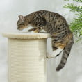 Load image into Gallery viewer, 85cm Tall Cat Scratching Post w/ Sisal Rope, Covered in Soft Plush, Anti-Tip for Indoor Corners, Cabinet Corners, Sofa Corners - Beige
