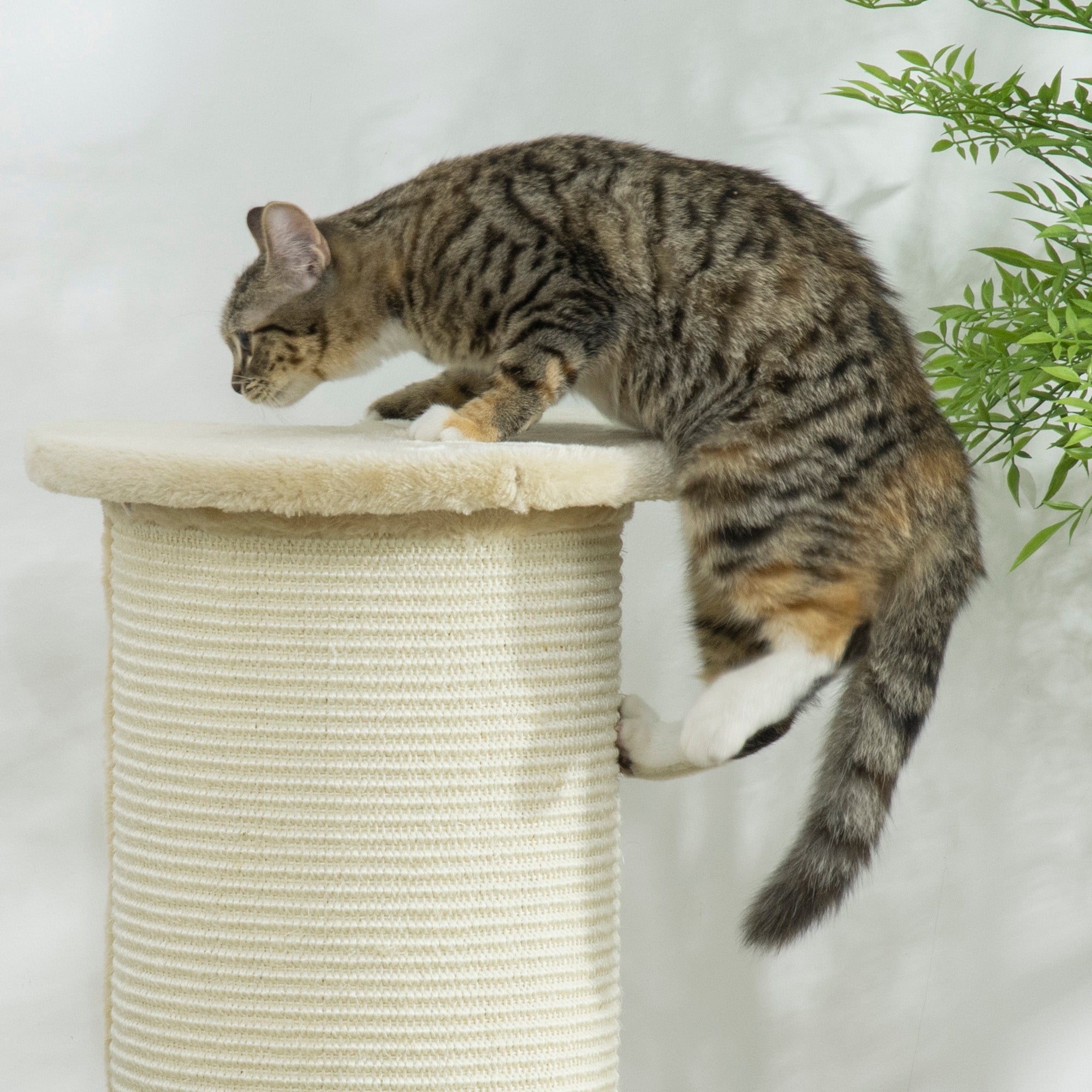 85cm Tall Cat Scratching Post w/ Sisal Rope, Covered in Soft Plush, Anti-Tip for Indoor Corners, Cabinet Corners, Sofa Corners - Beige
