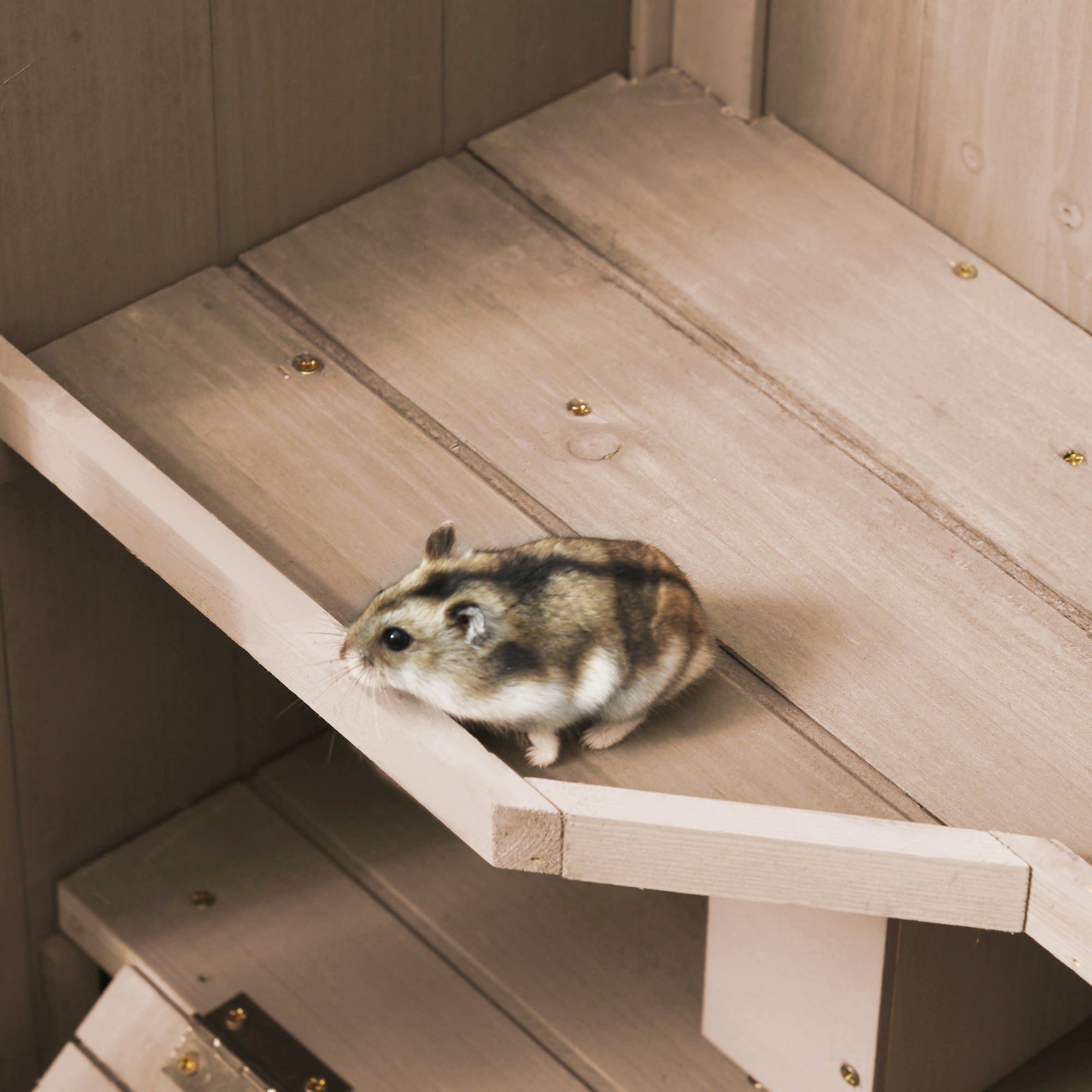 PawHut Extra Large Wooden Hamster Cage and Habitat Playground with 3 Ladders and 2 Huts, Syrian & Dwarf Hamster Small Animal Cage, Wheels, Pull-out Tray, Natural