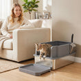Load image into Gallery viewer, Stainless Steel Sifting Litter Box for Pine Pellets, Large Metal Litter Box with Sifter Tray, High-Sided, Anti-Leakage, Odor Control, Litter Pedal, Metal Scoop, 10 Pee Pads, 22.8"x14.6"x11.8"
