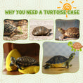 Load image into Gallery viewer, Tortoise Enclosure, Wooden Turtle Tank Reptile Terrarium with Two Room Design, for Indoor Use, 37" x 25" x 13", Nature Wood
