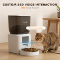 Charger l'image dans la visionneuse de la galerie, Automatic Cat Feeder, 2.4G WiFi, Smart APP Control 8L Extra Large Pet Feeder Dispenser 1-10 Meals with 10s Meal Call Back, Anti-Clogging, Dual Power Supply, Detachable Clean
