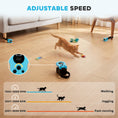 Load image into Gallery viewer, Interactive Cat Toy for Indoor Kittens & Adult, Automatic & Remote Control Electric Cat Toy with Adjustable Speed, DIY Track & Mouse Sound, Rechargeable Boredom Buster
