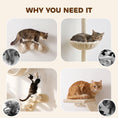 Load image into Gallery viewer, 4 Piece Cat Shelves, Cat Wall Furniture with Hammock, Scratching Posts, Soft Ladder, Steps, Jump Platforms, Hanging Ball for Indoor Kittens, Space Saving - Beige
