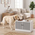 Load image into Gallery viewer, Elevated Dog Bowls with Storage Cabinet, Raised Dog Bowl Stand, Pet Feeding Station with Slow Feeder & Non-Slip, for Large Pets, White
