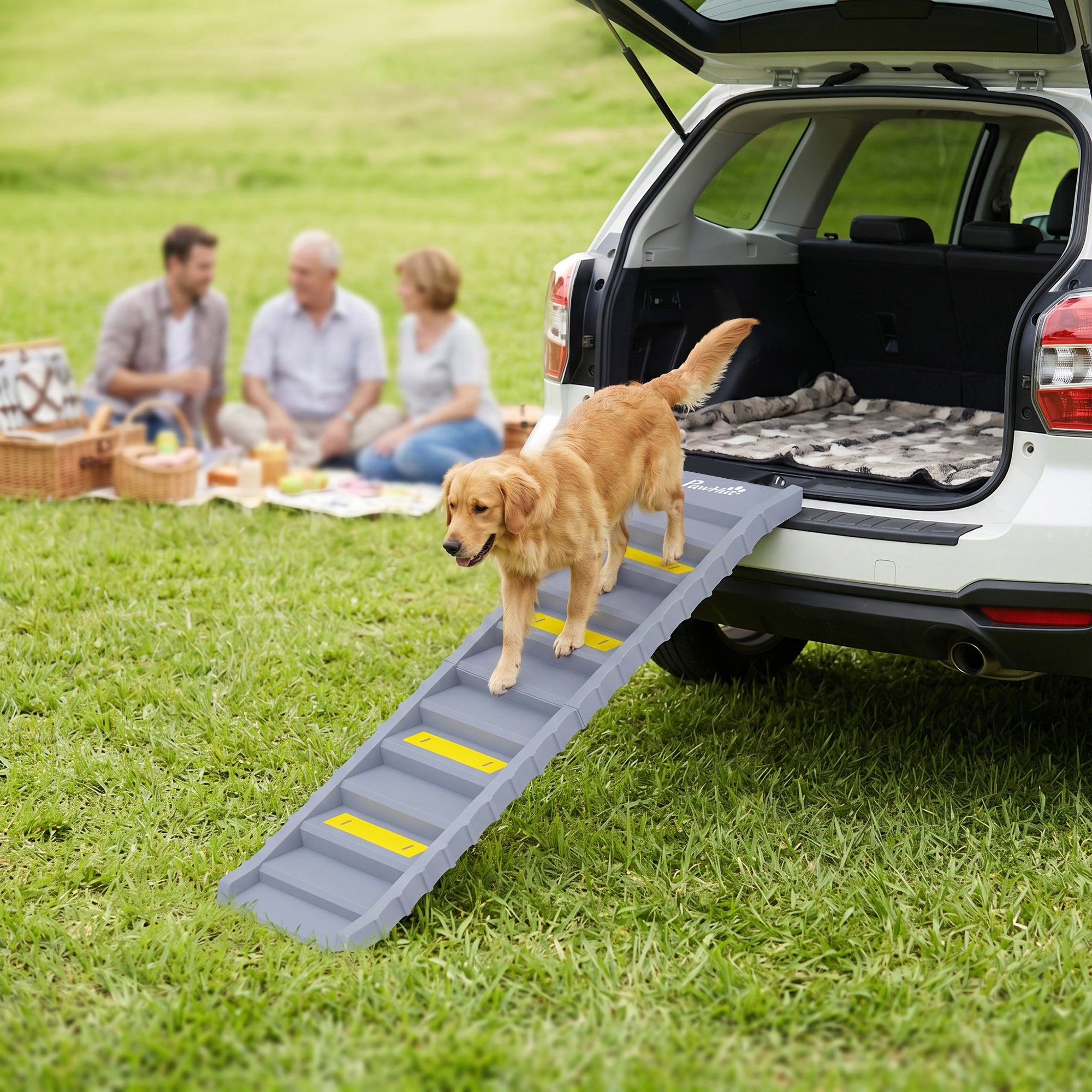 Dog Ramp for Cars, Trucks, SUVs, Foldable 10 Step Pet Stairs Non-Slip for Small to Medium Dogs, Lightweight Pet Ramp Supports up to 150 lbs., for Indoor Outdoor, Grey