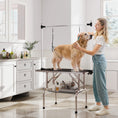 Charger l'image dans la visionneuse de la galerie, 43"L Dog Grooming Table, Pet Foldable Grooming Table with 8"- 32" Adjustable Arm, Two Nooses, Mesh Tray and Rubber Top for Large Medium Small Pets, Black
