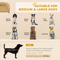 Load image into Gallery viewer, Velvet Large Dog Couch with Foam Cushion, Soft and Cute Dog Bed with Pearl Design, Dog Sofa for Big and Medium Dogs, Coffee
