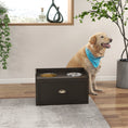 Load image into Gallery viewer, Elevated Dog Bowls for Large Dogs, Raised Pet Feeding Station with 2 Stainless Steel Bowls, Hidden Storage Drawer, Wood Stand for Cats, Coffee
