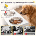 Load image into Gallery viewer, Elevated Dog Bowls with Storage Cabinet, Raised Dog Bowl Stand, Pet Feeding Station with Slow Feeder & Non-Slip, for Large Pets, White
