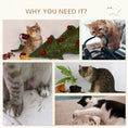 Load image into Gallery viewer, Cat Wall Shelves, 5PCs Cat Shelves with Scratching Post, Perches, Bridge, Steps, Condo, Hammock, Wall Mounted Cat Climber, Light Grey
