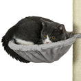 Load image into Gallery viewer, Cat Wall Shelves, 5PCs Cat Shelves with Scratching Post, Perches, Bridge, Steps, Condo, Hammock, Wall Mounted Cat Climber, Light Grey
