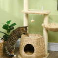 Load image into Gallery viewer, Cat Tree Tower for Indoor Cats, Climbing Activity Centre, Kitten Furniture with Cattail Fluff Bed House, Sisal Scratching Post, Hanging Ball, 50 x 50 x 119cm, Natural Tone
