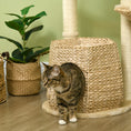 Load image into Gallery viewer, Cat Tree Tower for Indoor Cats, Climbing Activity Centre, Kitten Furniture with Cattail Fluff Bed House, Sisal Scratching Post, Hanging Ball, 50 x 50 x 119cm, Natural Tone
