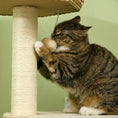 Load image into Gallery viewer, Cat Tree Tower for Indoor Cats, Climbing Activity Centre, Kitten Furniture with Cattail Fluff Bed House, Sisal Scratching Post, Hanging Ball, 50 x 50 x 119cm, Natural Tone
