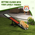 Load image into Gallery viewer, Wooden Pet Seesaw for Big Dogs, Agility Training Equipment for Dogs with Anti-Slip surface, 180 x 30 x 30cm - Black
