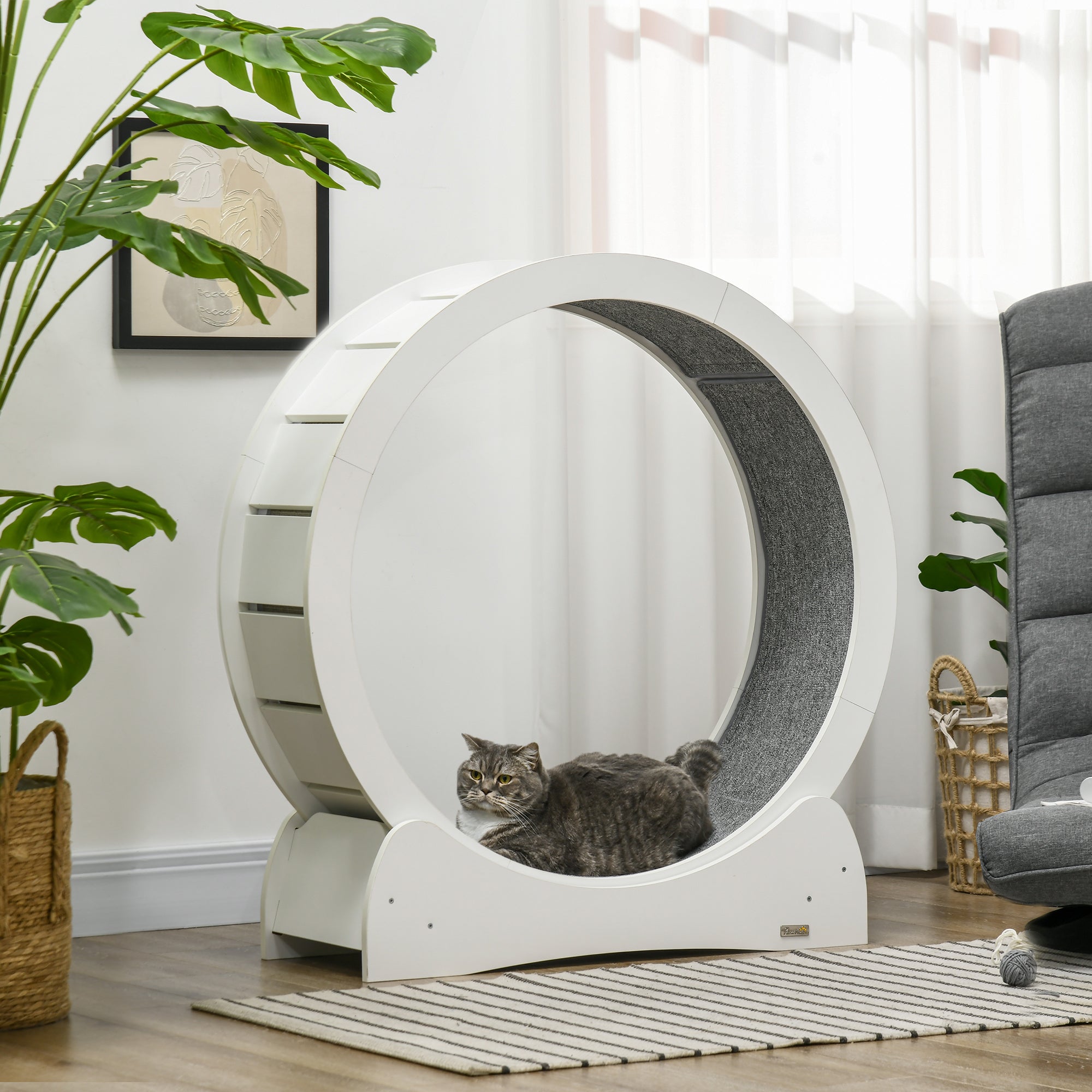 Cat Treadmill, Cat Exercise Wheel, 30 inch Kitten Running Wheel with Brake, Carpeted Runway for Exercise - White