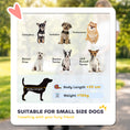 Load image into Gallery viewer, Dog Stroller, 3 in 1 Foldable Pet Stroller for Small Puppy Cat with Detachable Travel Carrier, 4 Wheels Dog Pram with Storage Basket, Seat Leashes, Mesh Window, Grey
