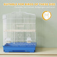 Load image into Gallery viewer, Bird Cage with Perches, Food Bowls, Swing, Parrot Cage for Budgie, Parakeet, Small Bird, 46.5 x 36 x 59cm, Blue

