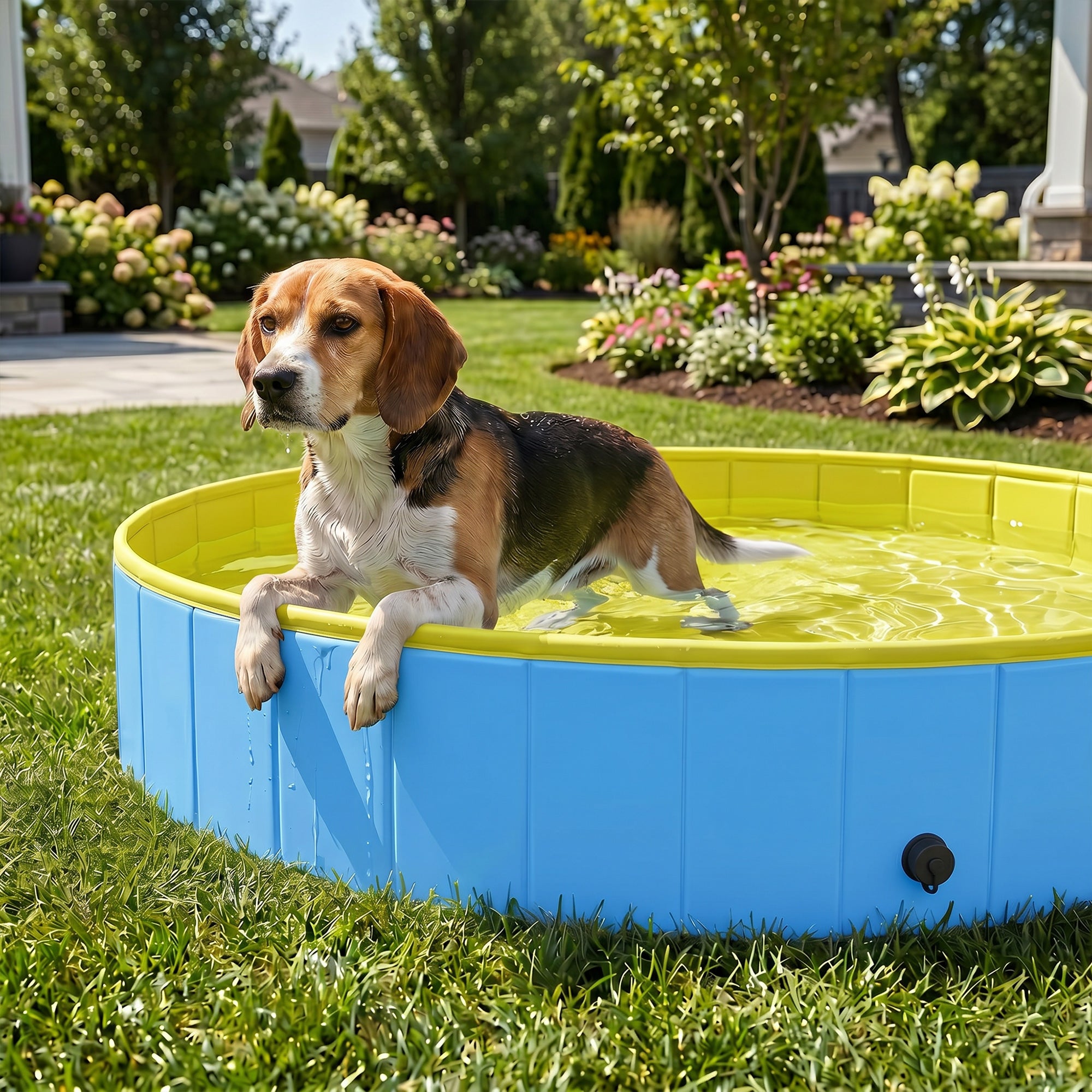 Foldable Dog Pool for Puppies and Ducks, Thickened PVC Dog Paddling Pool Bath Tub Hard Board, Anti-Slip Bottom and Hose Adapter for Easy Drainage, 120 x 30cm, Blue and Yellow
