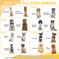 Load image into Gallery viewer, Whelping Box for Dogs, 20"H Puppy Whelping Box with Removable Doors, Dog Birth Supplies & Essentials for Indoor, 81" x 39" x 20", White
