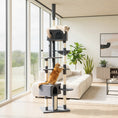 Charger l'image dans la visionneuse de la galerie, Floor to Ceiling Cat Tree, 230-250cm Adjustable Tall Cat Climbing Tower with 2 Condos, Hammock and Sisal Scratching Posts, for Indoor, Multi-Level Activity Centre, Dark Grey
