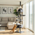 Charger l'image dans la visionneuse de la galerie, Floor to Ceiling Cat Tree, 230-250cm Adjustable Tall Cat Climbing Tower with 2 Condos, Hammock and Sisal Scratching Posts, for Indoor, Multi-Level Activity Centre, Dark Grey
