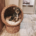 Load image into Gallery viewer, Wicker Cat House, Raised Cat Bed with Cylindrical Base, Soft Washable Cushion, Woven Water Hyacinth Cat Basket for Indoor and Outdoor, 42 x 33 x 52 cm - Brown
