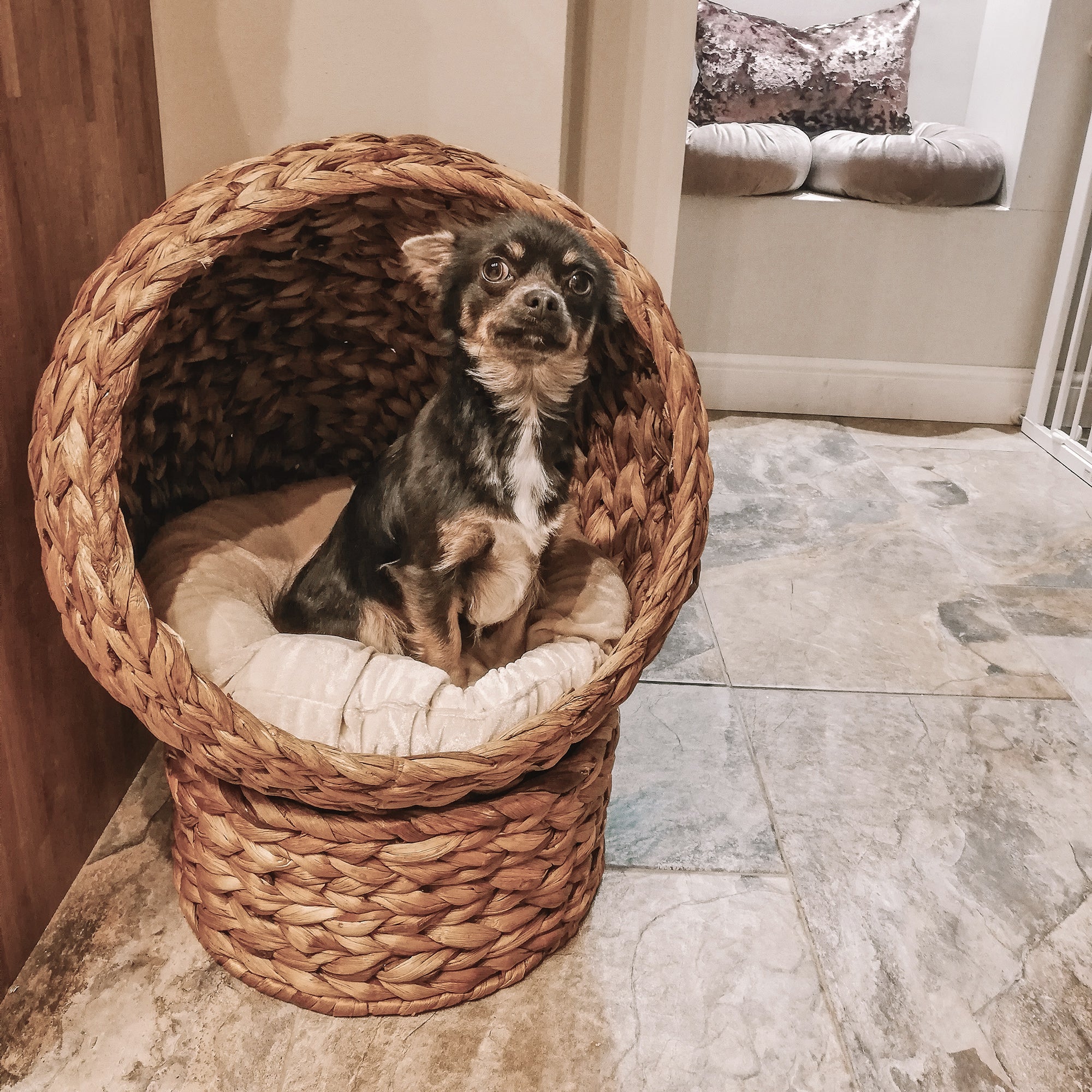 Wicker Cat House, Raised Cat Bed with Cylindrical Base, Soft Washable Cushion, Woven Water Hyacinth Cat Basket for Indoor and Outdoor, 42 x 33 x 52 cm - Brown