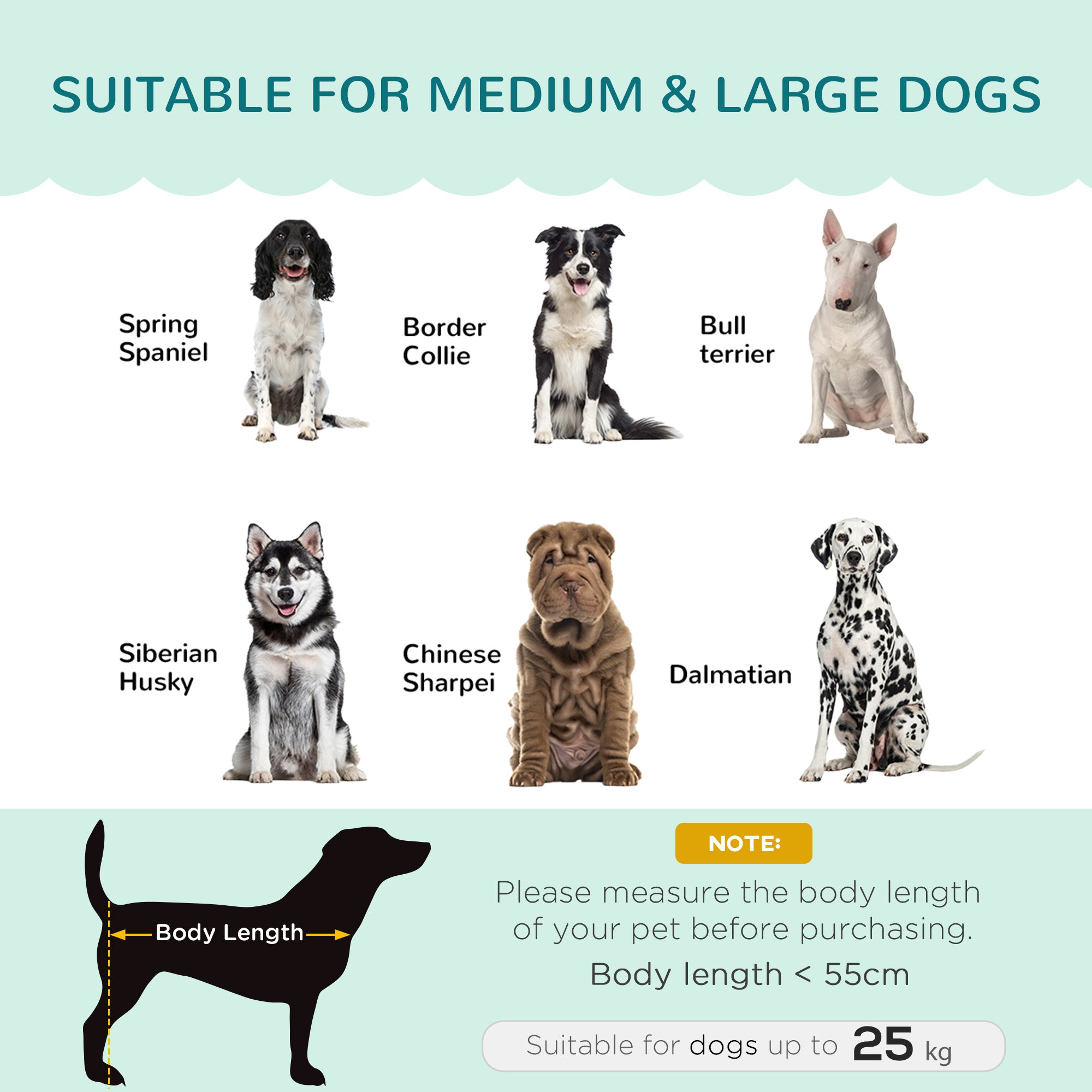 Dog Sofa for Medium, Large Dogs, Shell Shaped Pet Couch Bed with Legs, Cushion, Washable Cover - Green