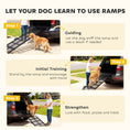 Load image into Gallery viewer, 75" Dog Car Ramp, Folding Dog Ramp with Anti-Slip Surface, Extra Long & Wide Pet Stairs for Large Pets to Get Into a Car, SUV, Truck, RV, High Bed, Black
