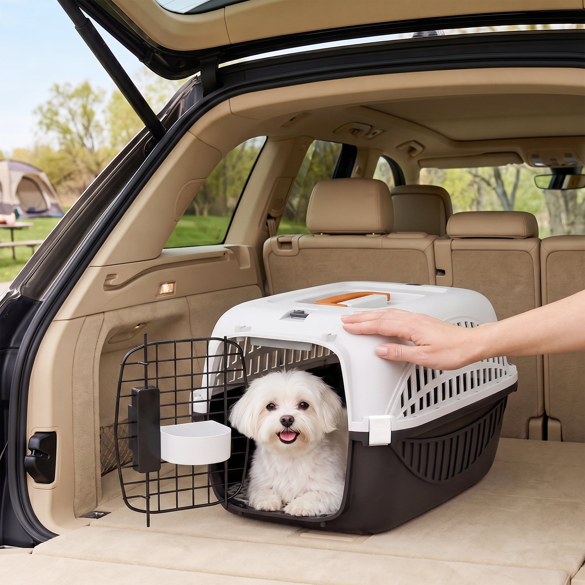 Plastic Dog and Cat Kennel Hard Sided, Airline Approved Pet Carrier for Mini Dogs and Cats, Portable Crate w/ Steel Wire Door, Water Bowl, for Car, Airplane, Outdoor, Black