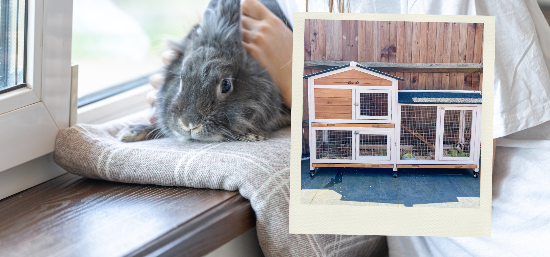 Rabbit Cage